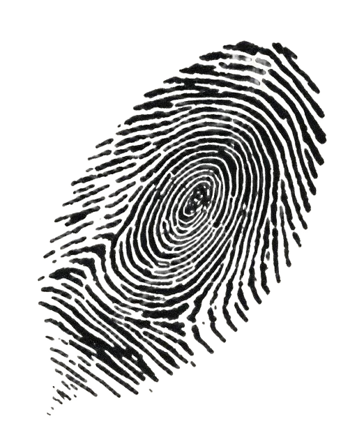 Fingerprint sample